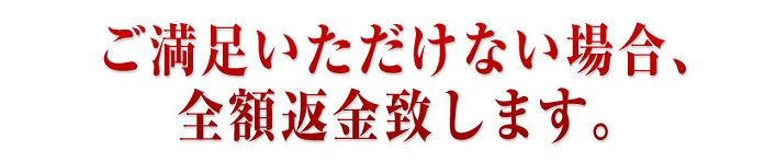 �W���W�����t�g�@������